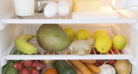 food refrigerator